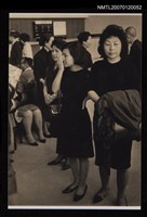 藏品(劉枋、夏祖美、林海音)的圖片