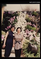 藏品(劉枋與梁丹丰)的圖片