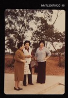 藏品(劉枋與王琰如等)的圖片