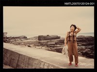 藏品(劉枋在海堤上獨影)的圖片