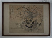 藏品(雙鴨戲池塘畫（含框）)的圖片