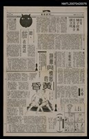 藏品(在有橘子皮的公共場合談文化)的圖片