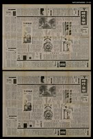 藏品(擺蕩在自然與詩篇之間--文學（作品）的模仿)的圖片