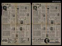 藏品(盧布林的魔術師)的圖片