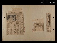 藏品(丹楓)的圖片