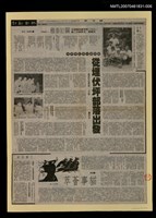 藏品(從埋伏坪部落出發)的圖片