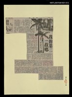 藏品(我的第二故鄉)的圖片