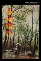 藏品(春雨繽紛)的圖片