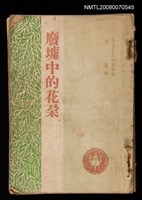 藏品(廢墟中的花朵)的圖片