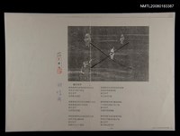 藏品(誰又在乎)的圖片