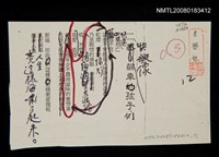 藏品(快艇像飆車孩子們)的圖片