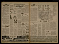 藏品(首都早報（1990-05-24）)的圖片