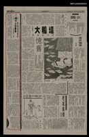 藏品(傳統布農族的人文觀念)的圖片