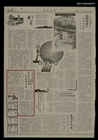 藏品(突出來的樹，常被風吹倒)的圖片