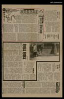 藏品(塑造山中精靈的圖騰)的圖片