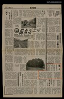 藏品(獵人（8）)的圖片