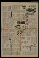 藏品(綁茅草結的季節)的圖片