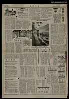 藏品(金黃小米高高掛山坡（6）)的圖片