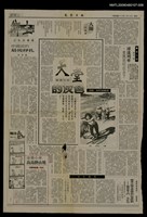 藏品(金黃小米高高掛山坡（8）)的圖片