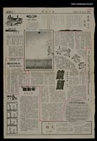 藏品(失去焦距的鏡頭（2）)的圖片