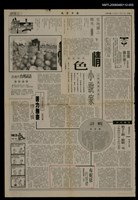 藏品(布妮依的婚禮（5）)的圖片