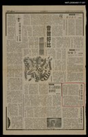 藏品(風中的芋頭皮（7）)的圖片