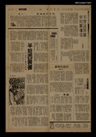 藏品(半短西裝褲)的圖片