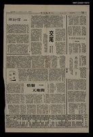 藏品(交尾)的圖片