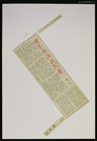 藏品(強姦全民)的圖片