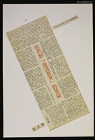 藏品(我們對「母語教育」的質疑)的圖片