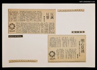 藏品(反諷 反響)的圖片