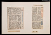 藏品(民主在暴力的腳下嗚咽)的圖片