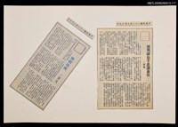 藏品(斑馬線也不是護身符)的圖片