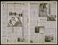 藏品(從祖國的呼喚到台灣意識的建構—談巫永福的創作主軸)的圖片