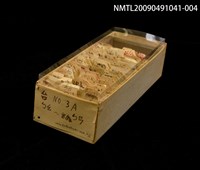 藏品(紙卡)的圖片