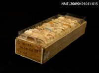 藏品(紙卡)的圖片