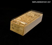 藏品(紙卡)的圖片