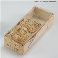 藏品(紙卡)的圖片