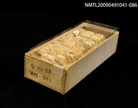 藏品(紙卡)的圖片