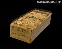 藏品(紙卡)的圖片