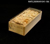 藏品(紙卡)的圖片