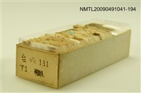 藏品(紙卡)的圖片