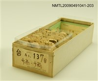 藏品(紙卡)的圖片