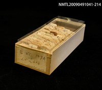 藏品(紙卡)的圖片