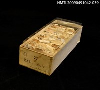 藏品(紙卡)的圖片