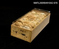 藏品(紙卡)的圖片