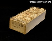 藏品(紙卡)的圖片