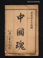 藏品(中國魂)的圖片