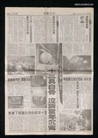 藏品(二二八「萬人塚」出土報導)的圖片