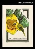 藏品(藏書票—Bonin Islands Honey-Eater（小笠原島的覓蜜鳥）)的圖片